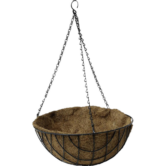 Vaso de Coco FG 25cm un