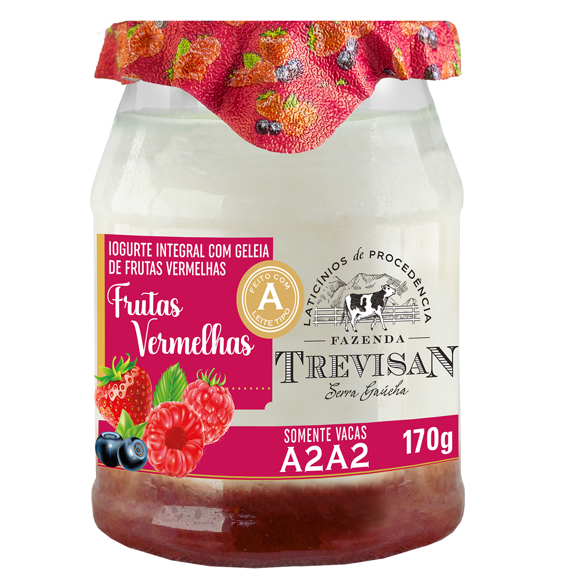 Iogurte Grego Frutas Vermelhas Tipo A2A2 Trevisan 170g
