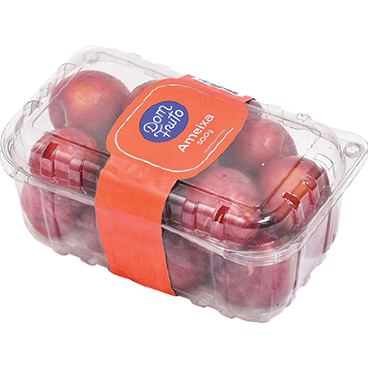 Ameixa Importada 500g