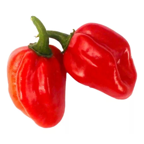 Pimenta Habanero Vermelha 200g
