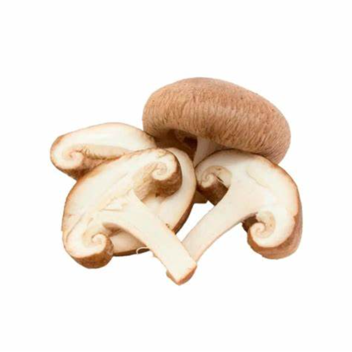 Cogumelo Shitake Fatiado 100 Livre 200g