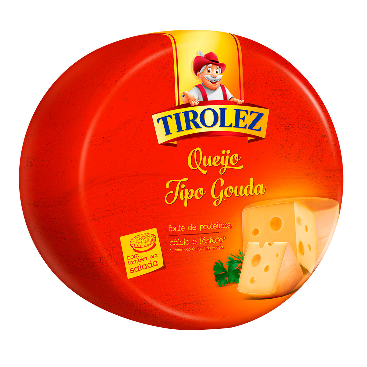 Queijo Gouda Tirolez Pedaço 200g