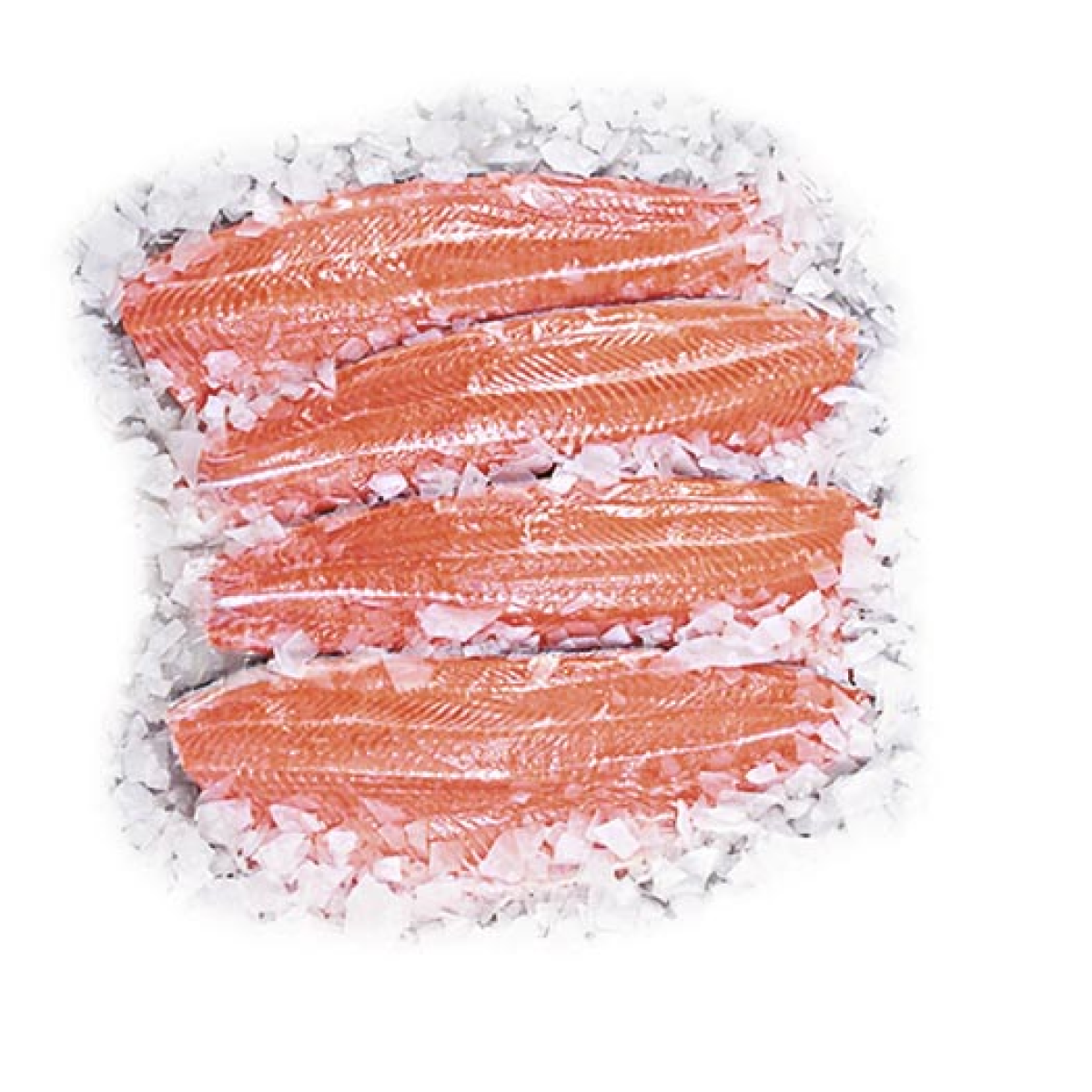 Filé de Truta Salmonada Sem Pele Inteira Fresca 400g