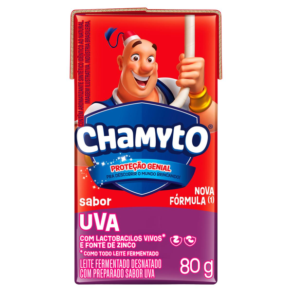 Leite Fermentado Chamyto 480g - Uva