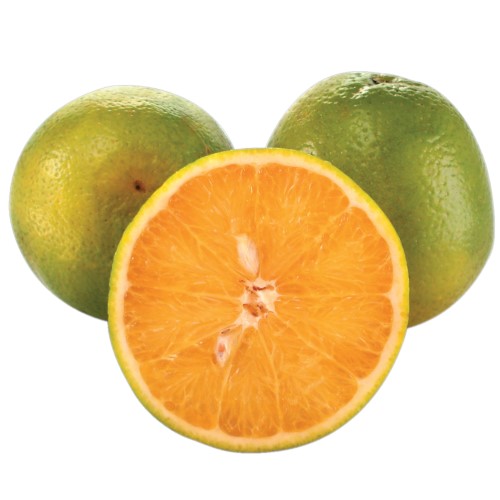 Laranja Suco Kg (aprox. 1kg)