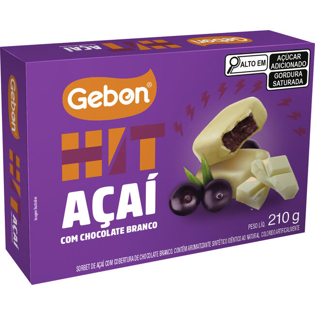 Sorvete Hit Gebon Açaí com Chocolate Branco 210g