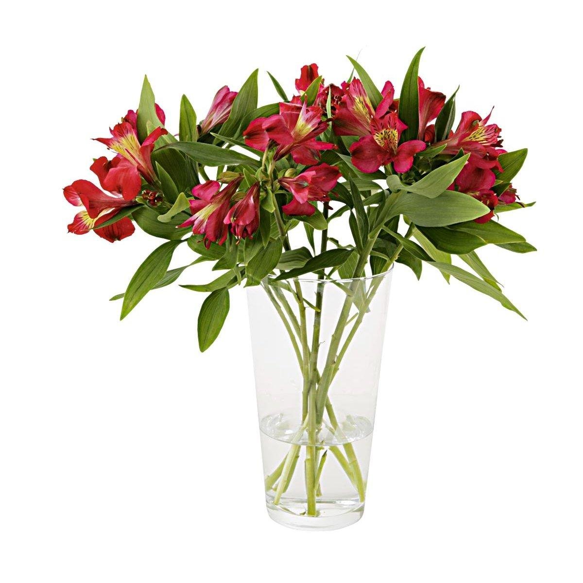 Maço de Alstroemeria Cooperflora Cor Sortida