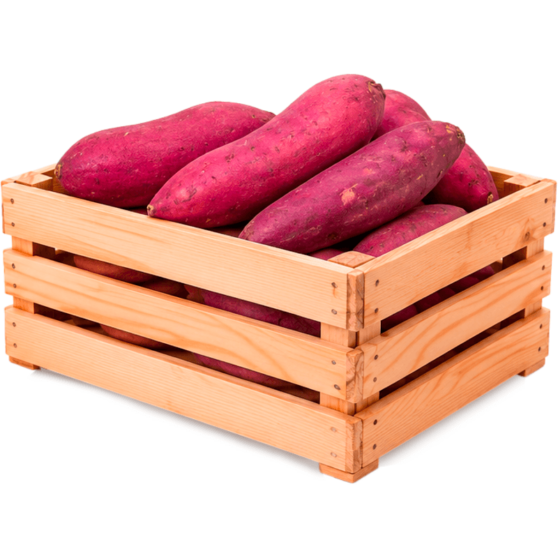 Batata-Doce 20kg