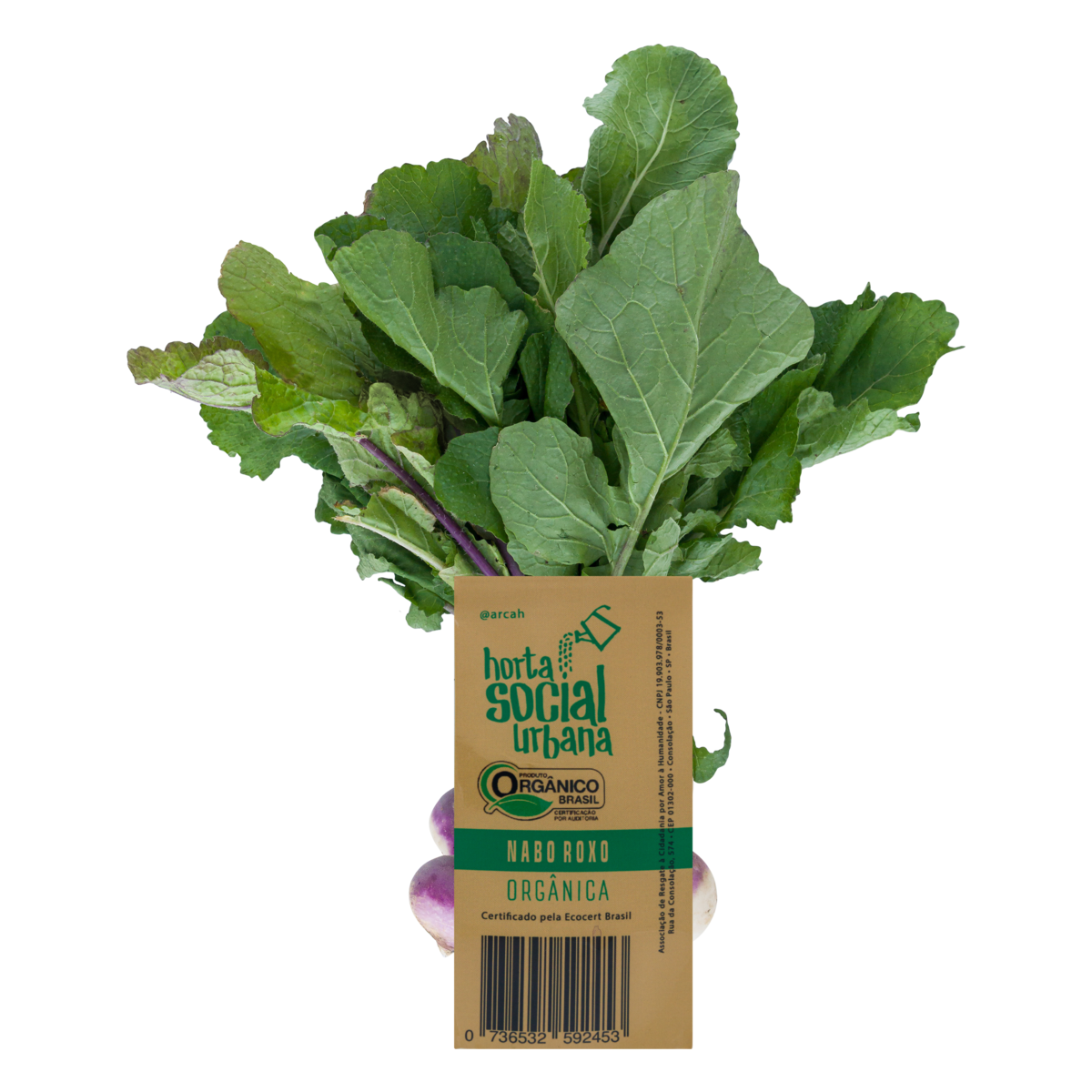 Nabo Roxo Orgânico Arcah 650g