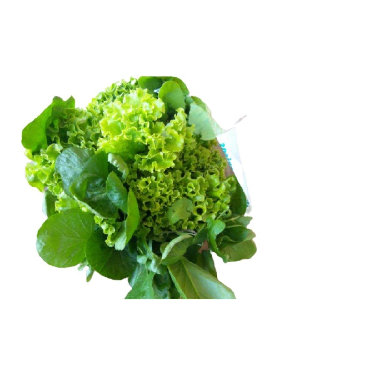 Salada Trio de Folhas Zangalli