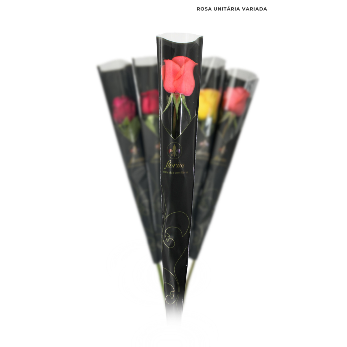 Rosa Unitária Colorida