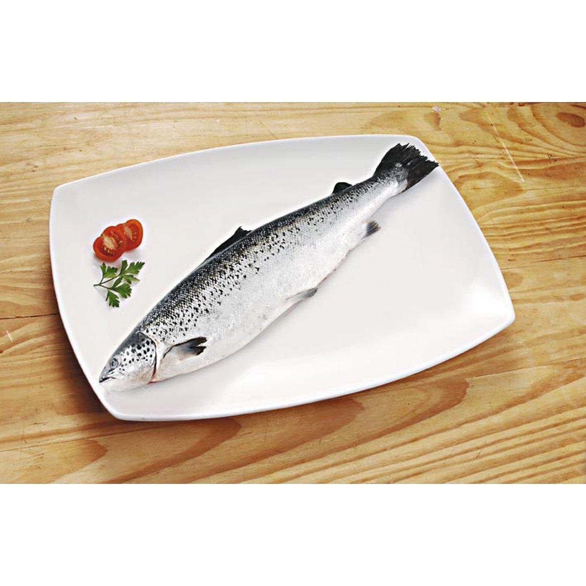Truta Grande Inteira Fresca 1Kg