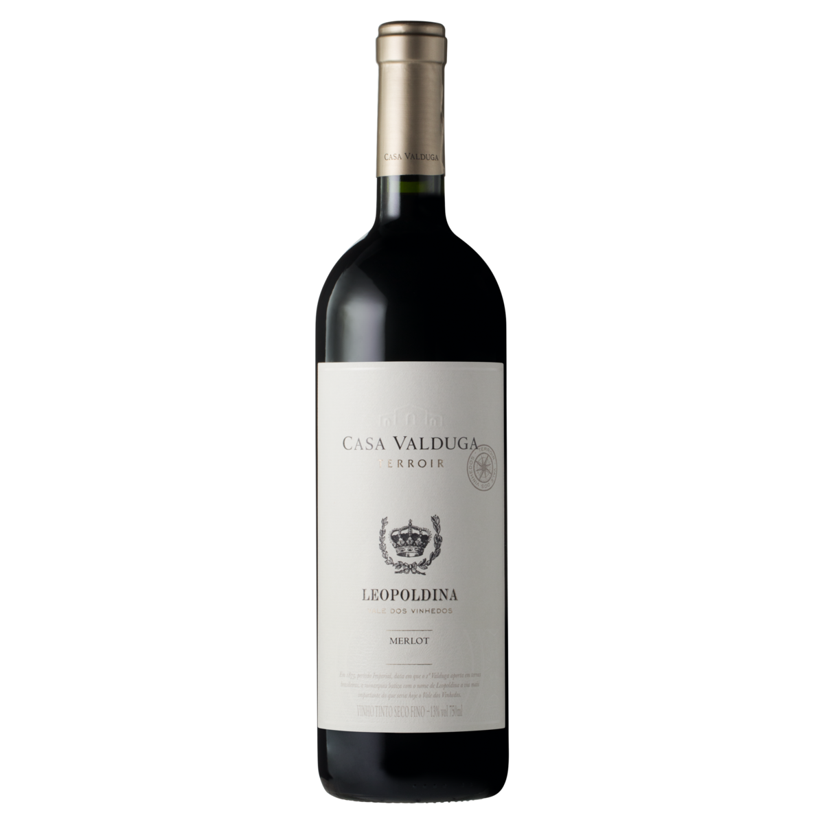 Vinho Tinto Brasileiro Casa Valduga Raizes Merlot 750ml