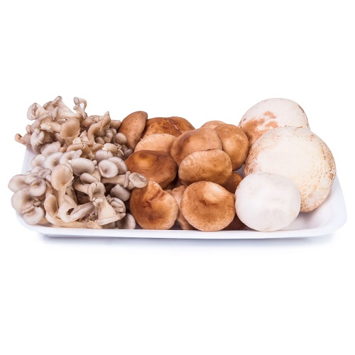 Mix Cogumelos 200g
