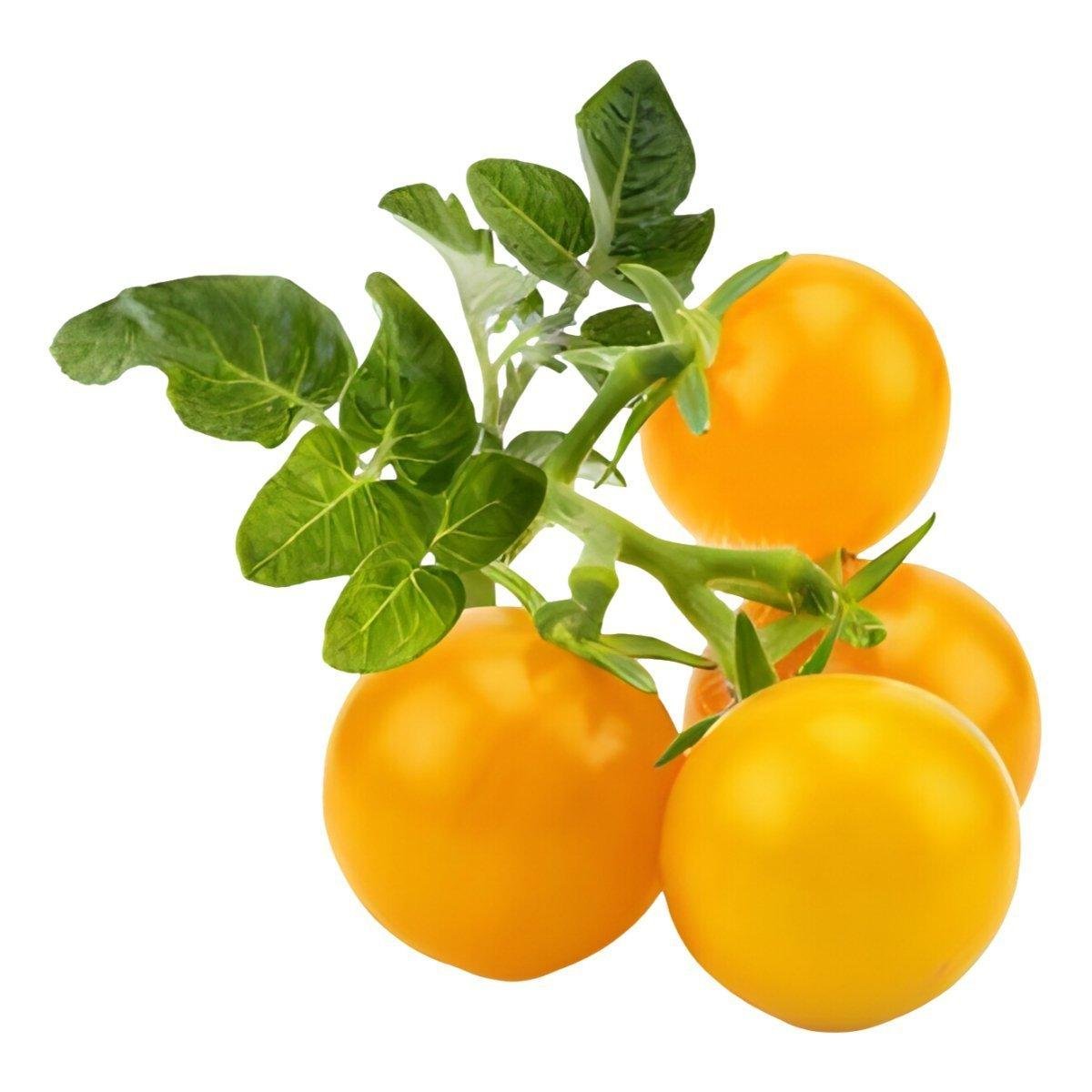 Mini Tomate Amarelo 200g