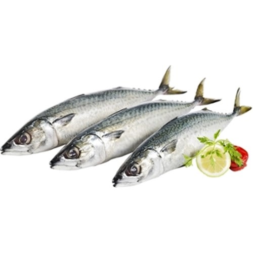 Peixe Cavalinha Inteira Congelada Kg