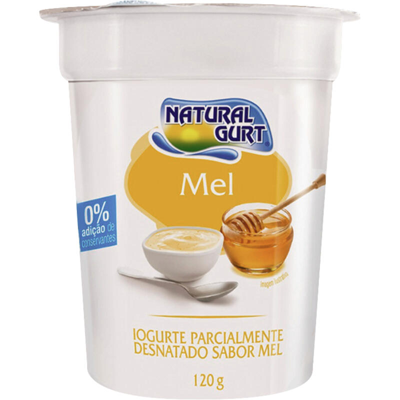 Iogurte Natural Gurt Natural Mel 120g