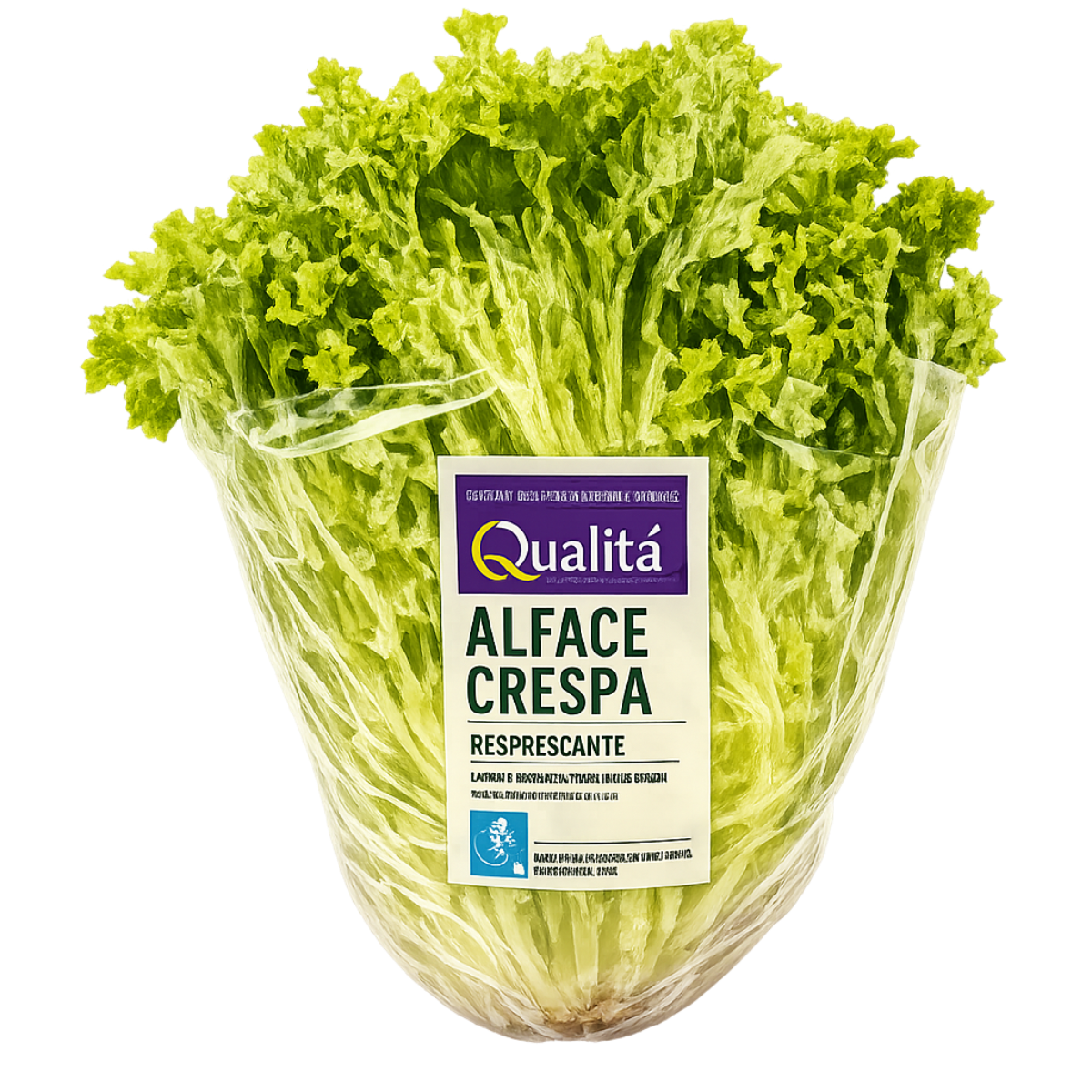 Alface Crespa Naturalmente Fresca Qualitá