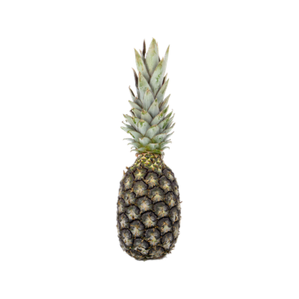 ABACAXI PEROLA VACUO KG
