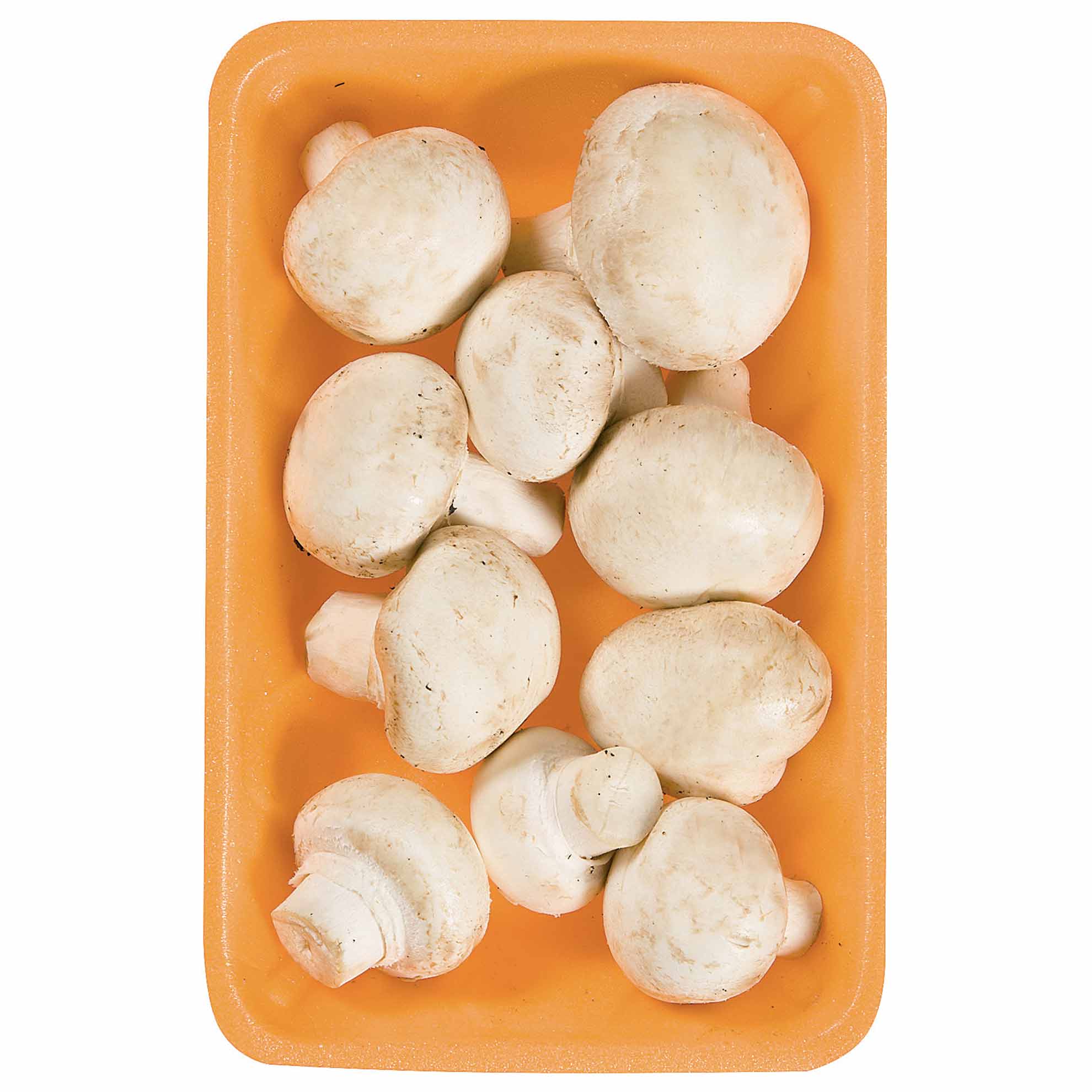 Cogumelo Paris 200g