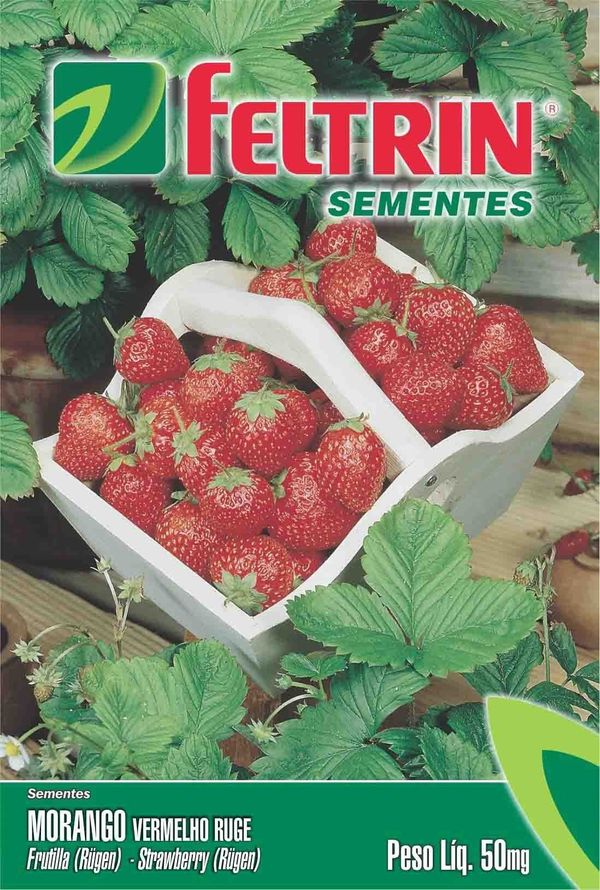 Semente FELTRIN Morango Vermelho