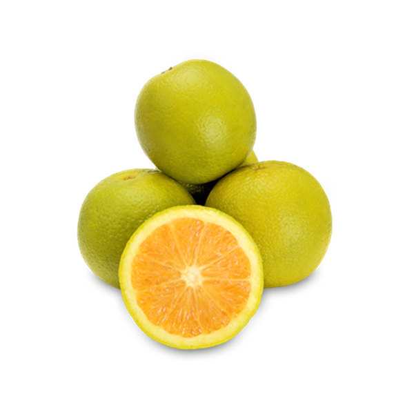 Laranja-pera Kg