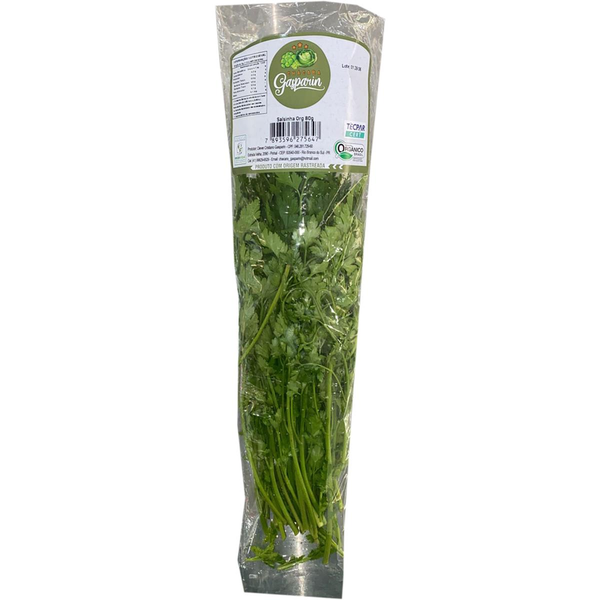 Salsinha Gasparin 80g - Orgânica