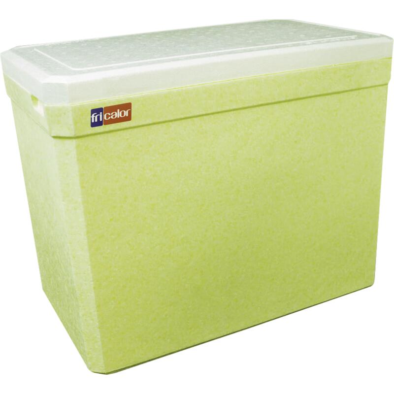 Caixa Térmica Fricalor 45L un