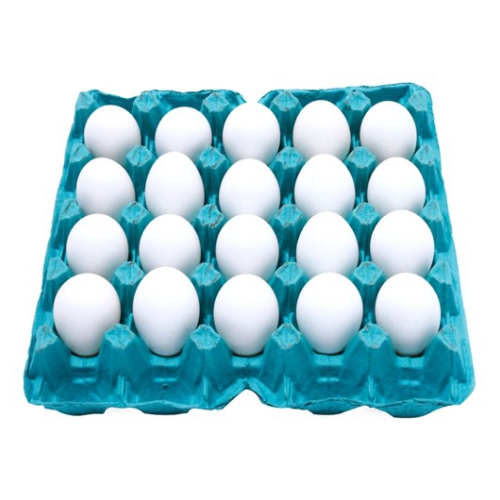 Ovos Modelo Grande Branco Pvc C/20 Un