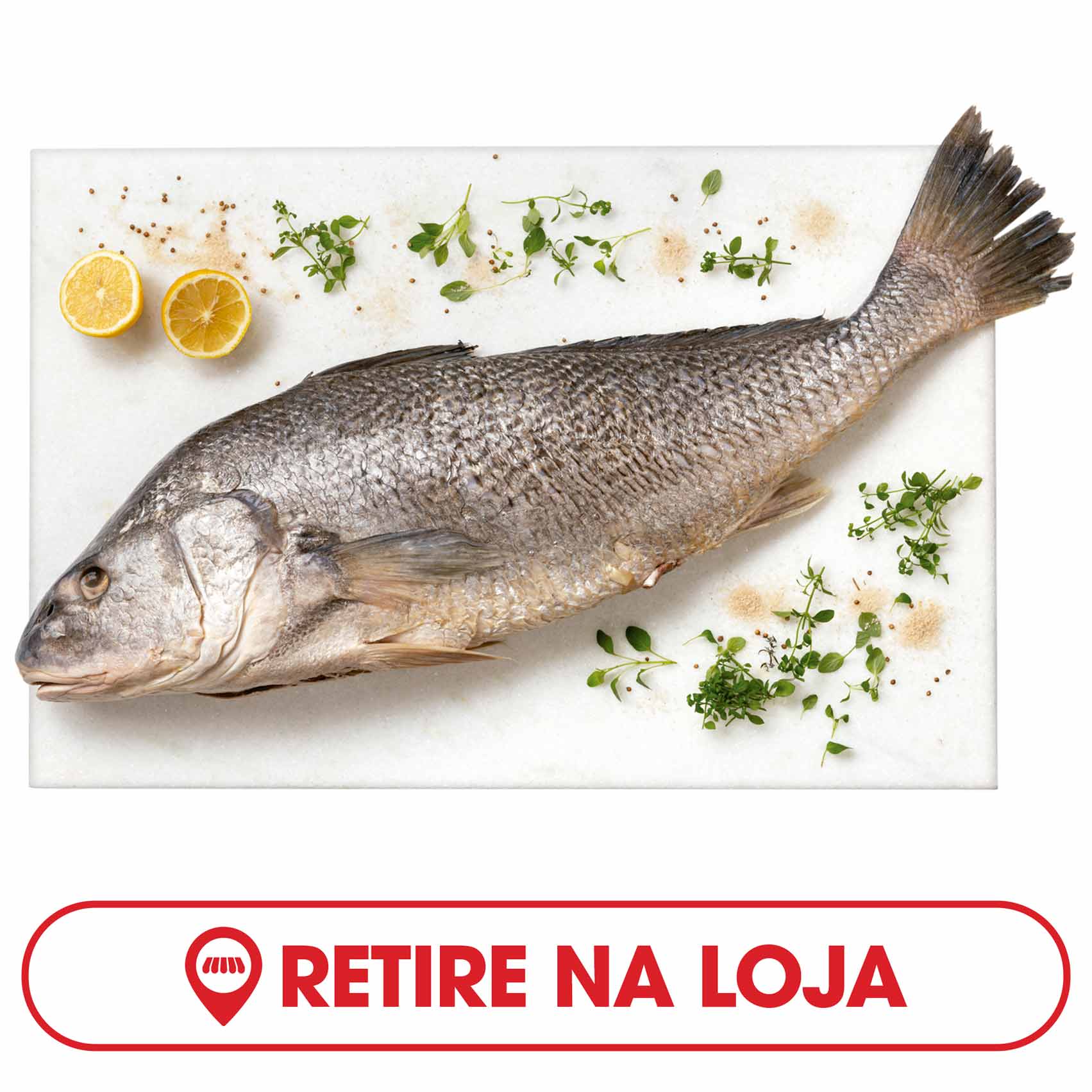 Traíra Fresca Inteira