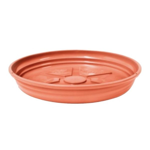 PRATO NUTRIPLAN CERAMICA N.3 2
