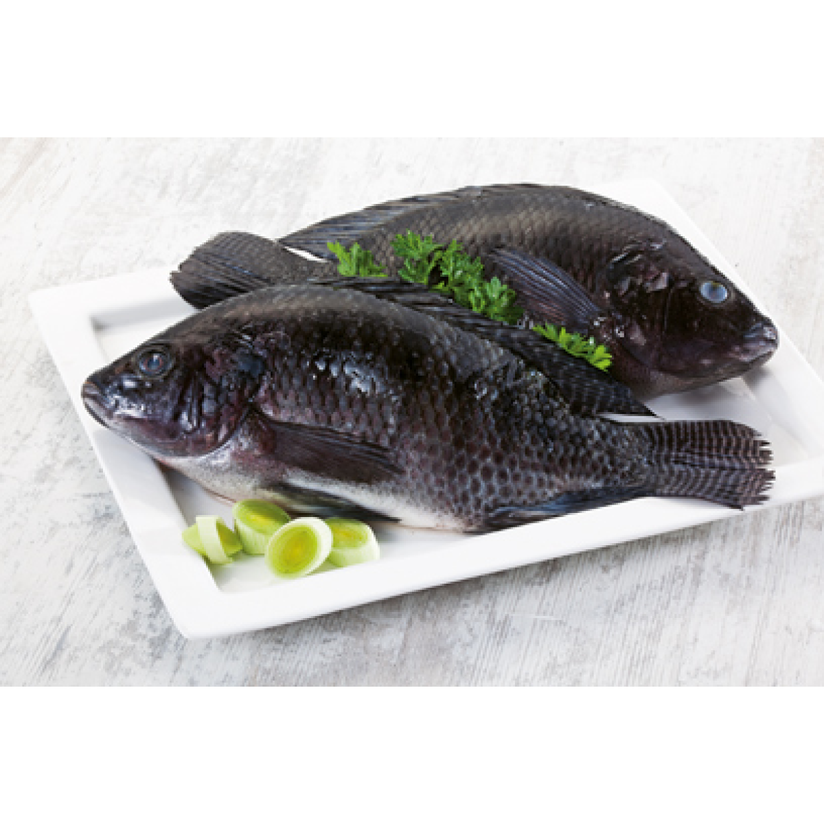 Tilápia Fresca Inteira 1,1Kg