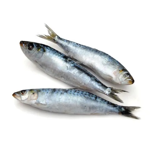 Peixe Oceani Sardinha Eviscerada Sem Cabeça Congelada 800g