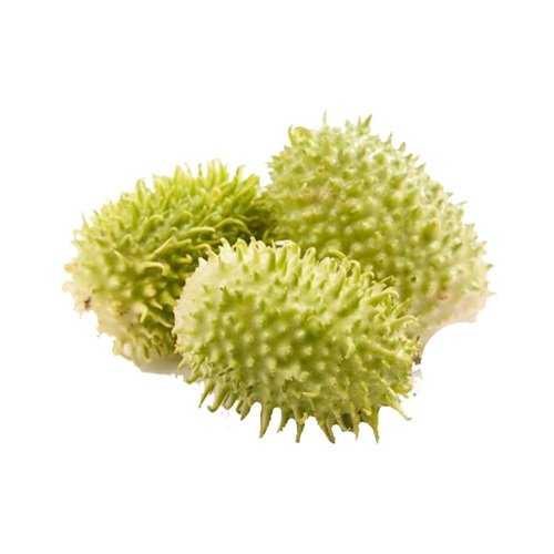 Maxixe 500g