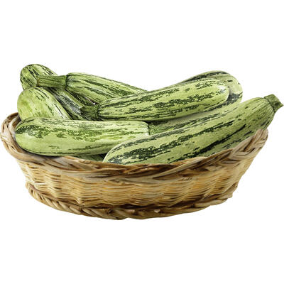 Abóbora Italiana Quilo