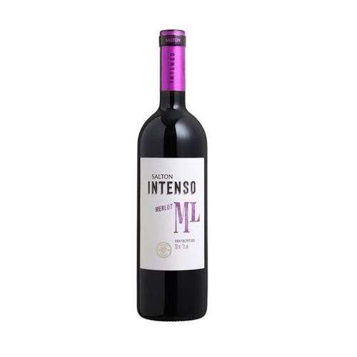 Vinho Tinto Brasileiro SALTON Intenso Merlot 750ml