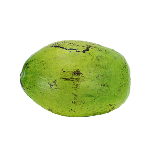 Coco-verde Unidade
