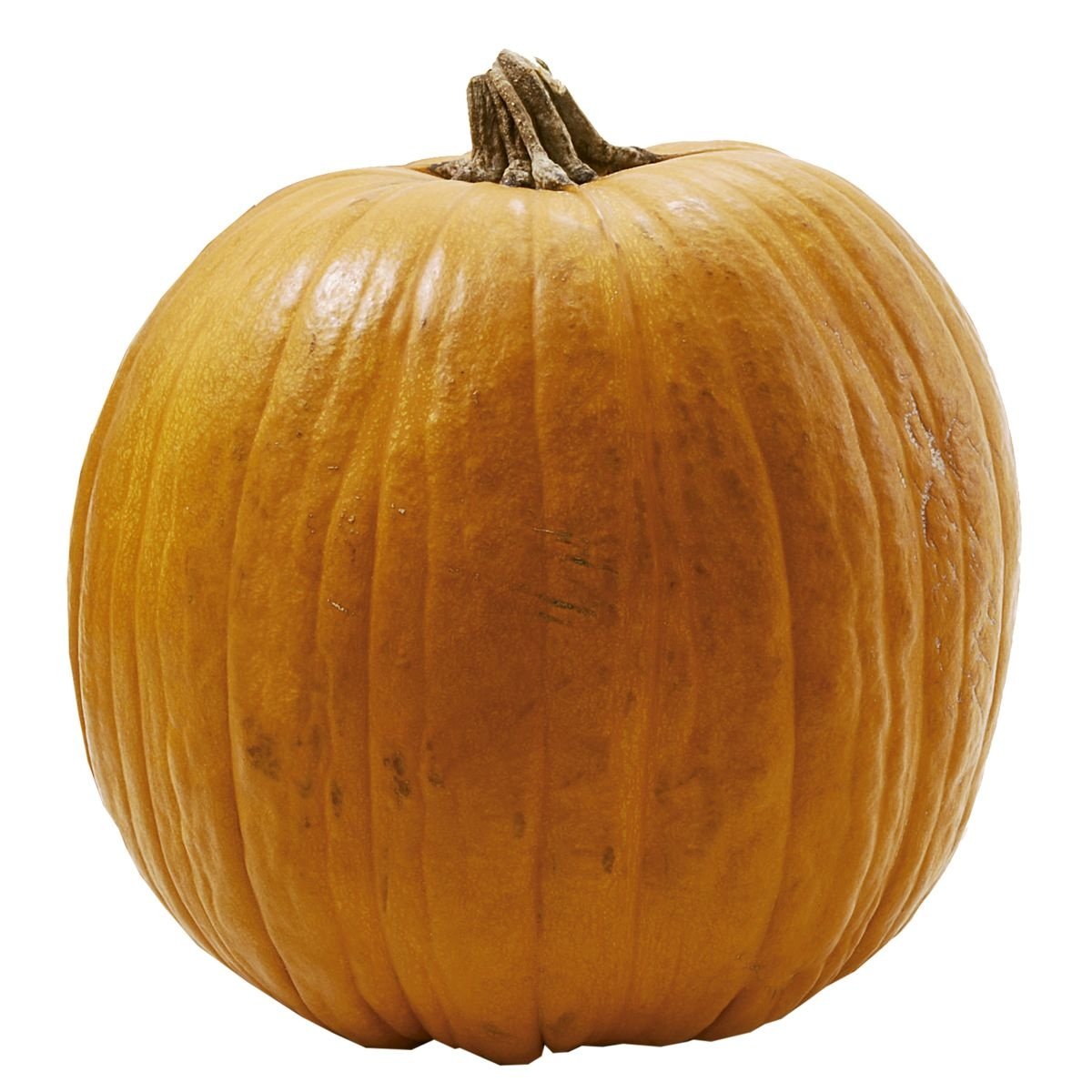 Abóbora Howden Halloween Unidade