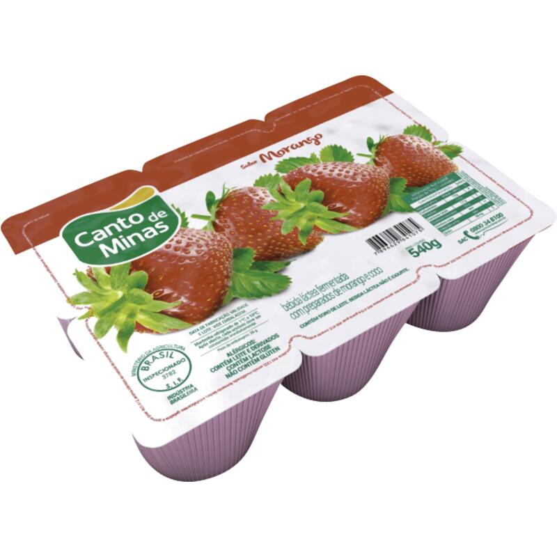 Bebida Láctea Canto de Minas Morango 540g