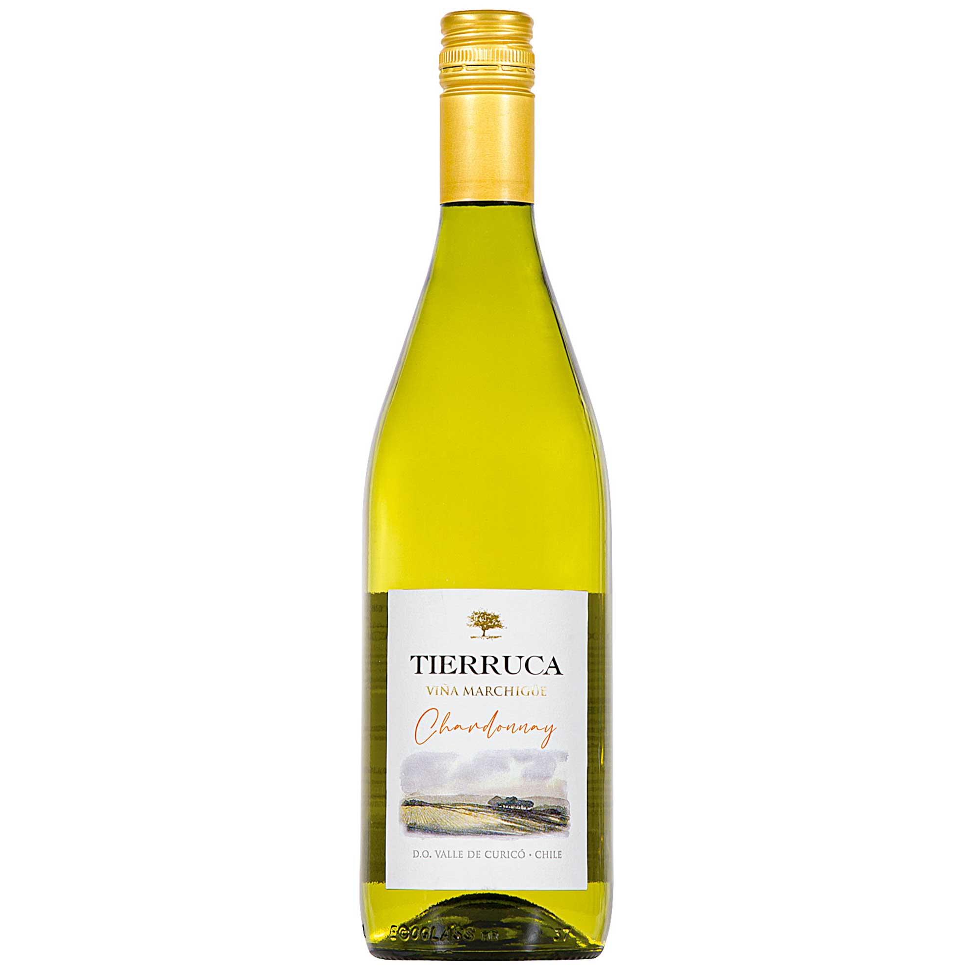 Viñedos Marchigüe Tierruca Chardonnay Chileno Vinho Branco 750ml