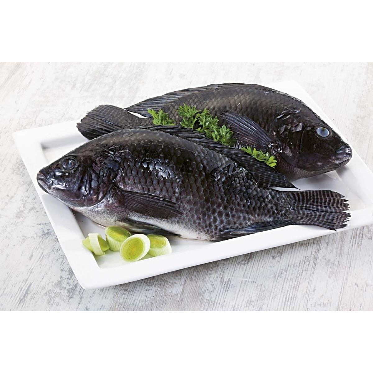 Tilápia Inteira Fresca 1Kg