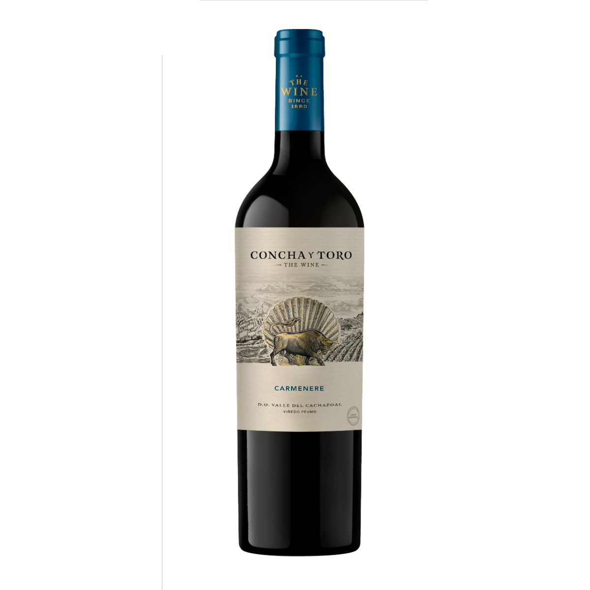 Vinho Tinto Chileno The Wine Cabernet Sauvignon 750ml