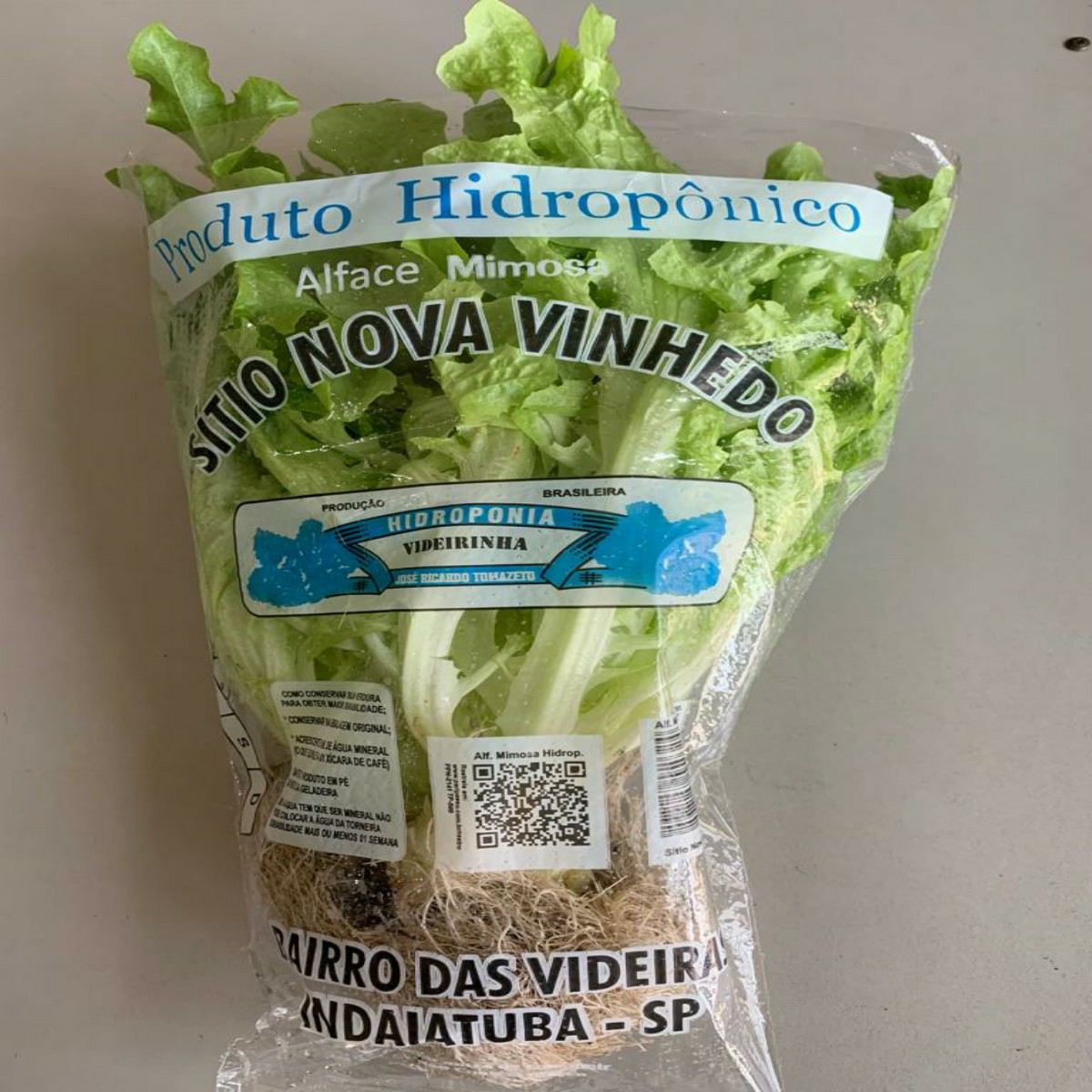 Alface Mimosa Hidropônica SÍTIO NOVA VINHEDO