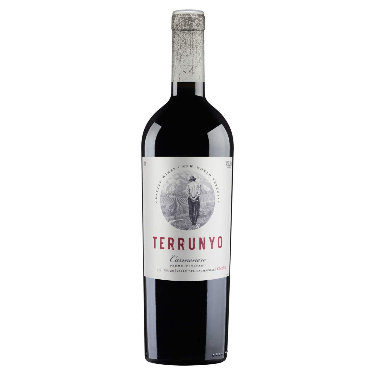 Vinho Terrunyo Tinto Carmenere 750 Ml