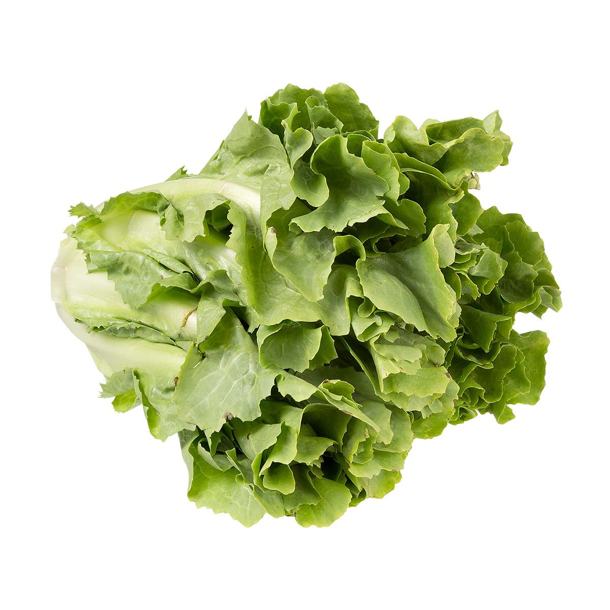 Escarola Greenchpice 150g