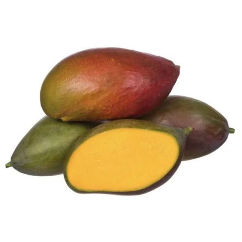 Manga Palmer Kg (aprox. 800g )