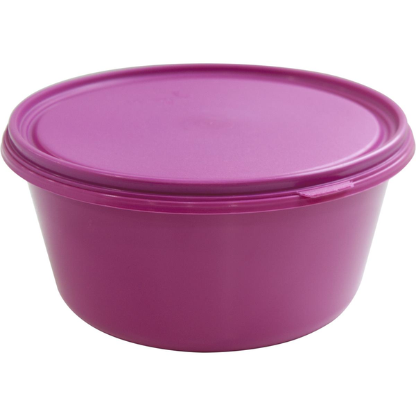 Pote Hermético Plasvale 4,75 Litros - Redondo - Ref. 244