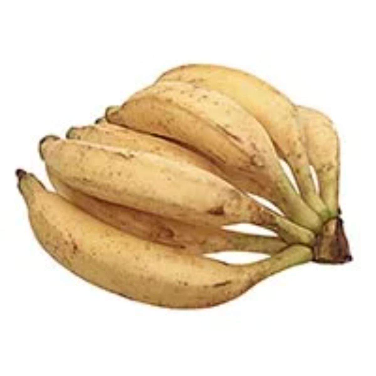 Banana Terra Granel 1kg (Aprox. 4 a 5 Unidades)