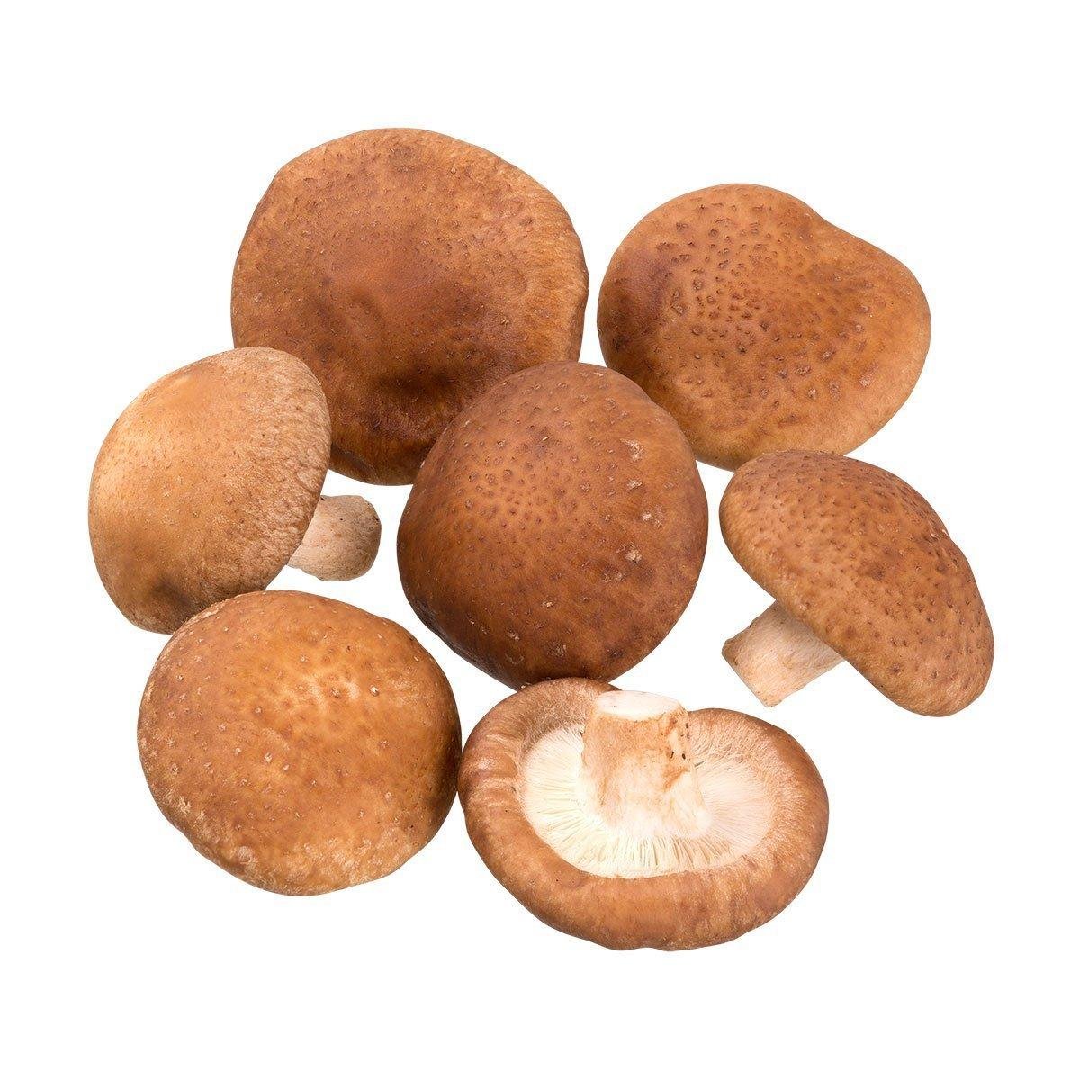 Cogumelo Shitake Orgânico 100g