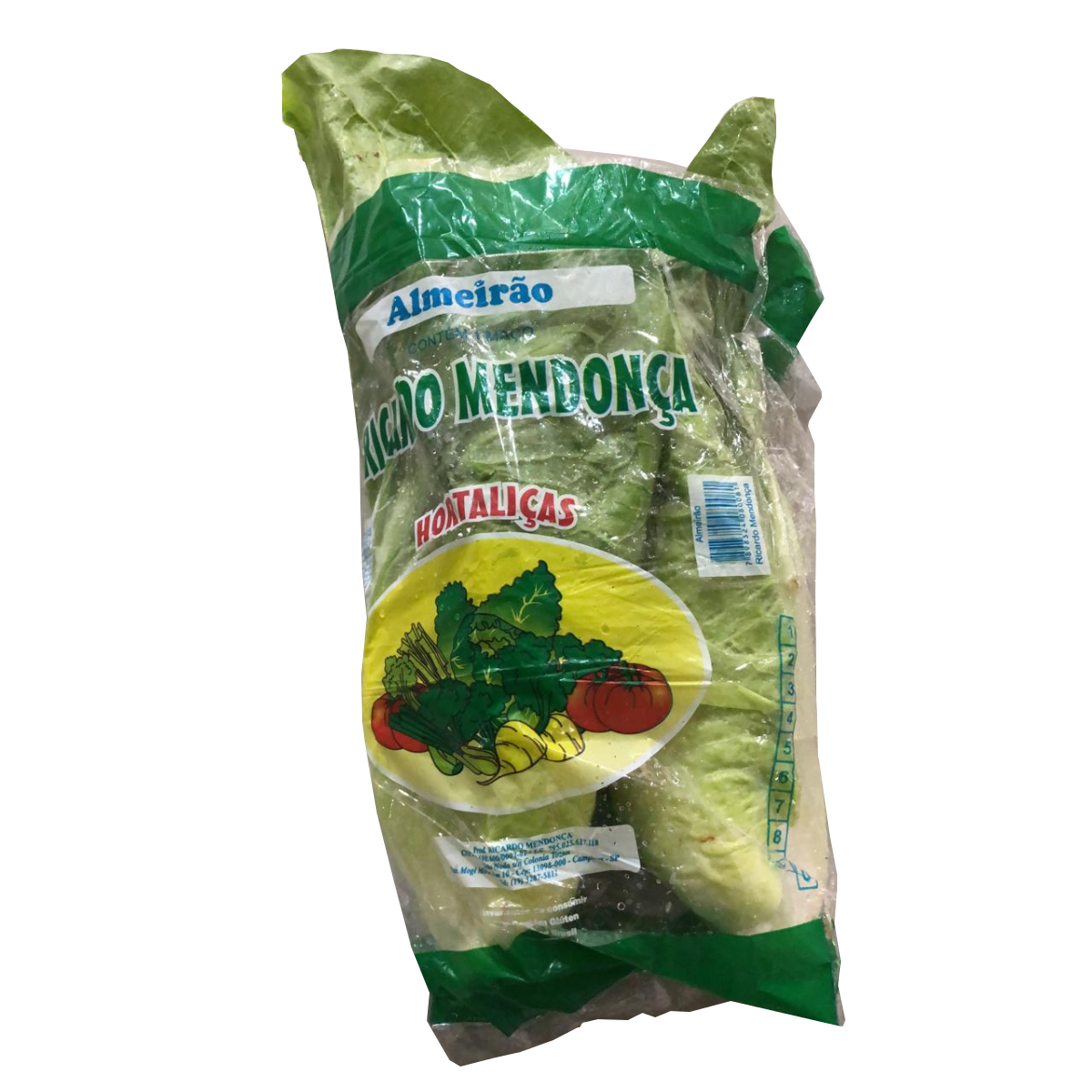 Almeirão Mendonça Embalado 100g